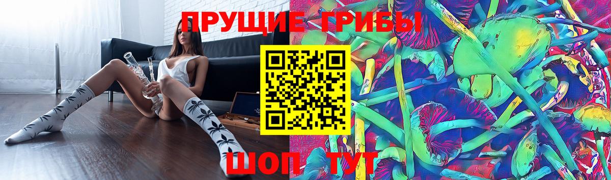 Галлюциногенные грибы Psilocybe  Вход с VPN  Лабытнанги  Псилоцибиновые грибы прущие грибы 